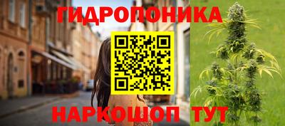 мяу мяу мука Уссурийск