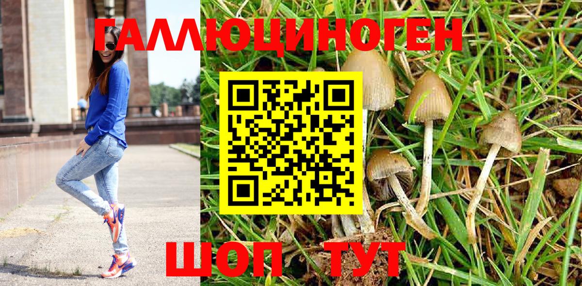 Галлюциногенные грибы прущие грибы  Вход с VPN  Псилоцибиновые грибы Cubensis  Улан-Удэ 